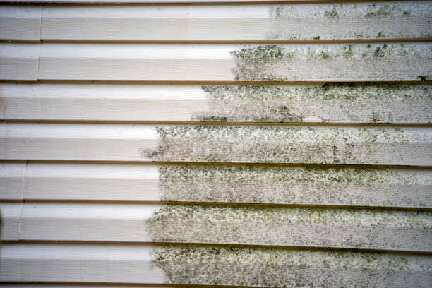 Best Custom Trim and Detailing for Siding  in Waverly, OH