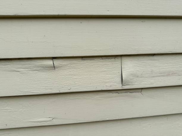 Siding Removal and Disposal in Waverly, OH